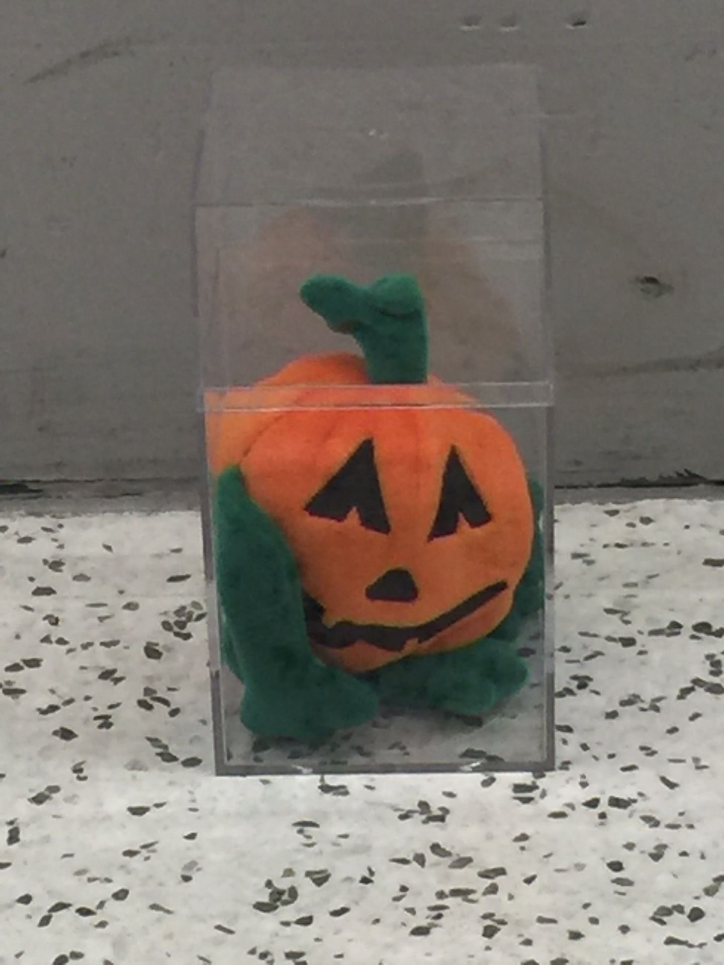 Beanie Babies Pumkin with Protective Case