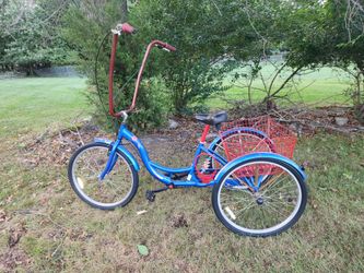 Custom Schwinn S4001KM w/Steal Your Face