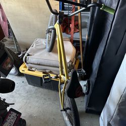 Custom 21” BMX Bike