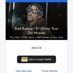 Bad Bunny Concert section 115
