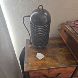 Electric flycatcher.