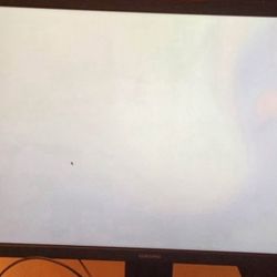 24in Samsung Monitor