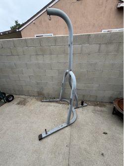 Everlast Punching Bag/Stand