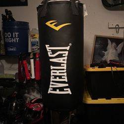 Punching Bag