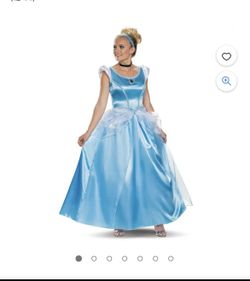 Cinderella Costume
