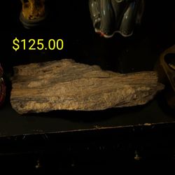 Australian Petrified Wood 