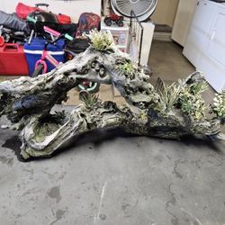 Fish Tank Supplies 