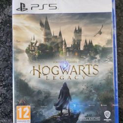 Hogwarts Legacy 