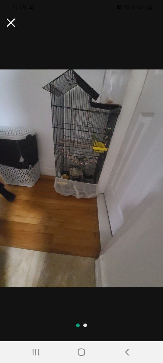 Big Bird Cage