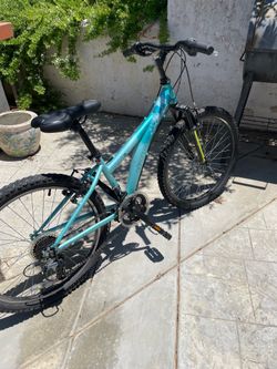 Tess Diamondback YOUTH Bike