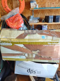 Ceiling Fan