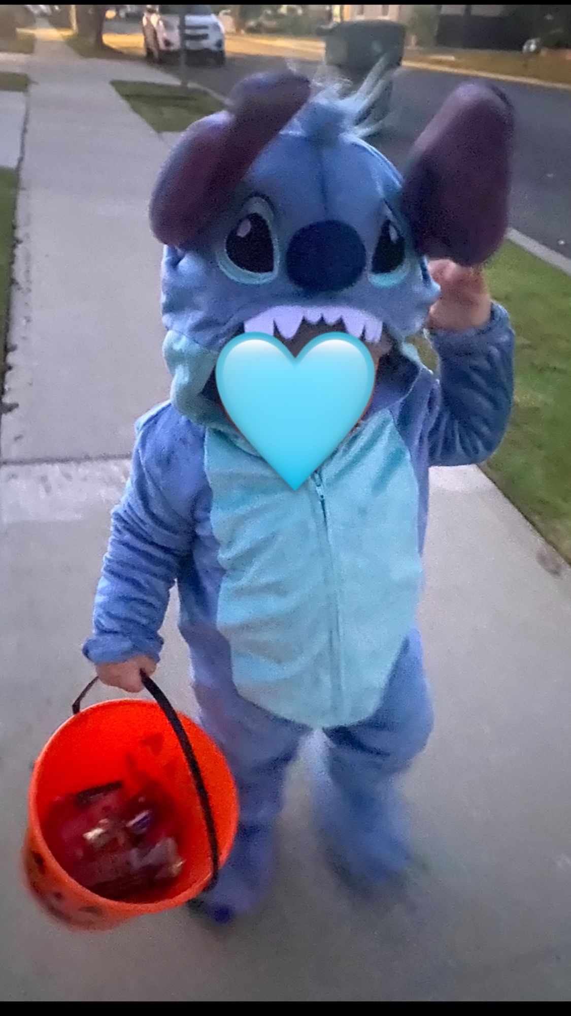 Spirit Halloween Stitch Costume