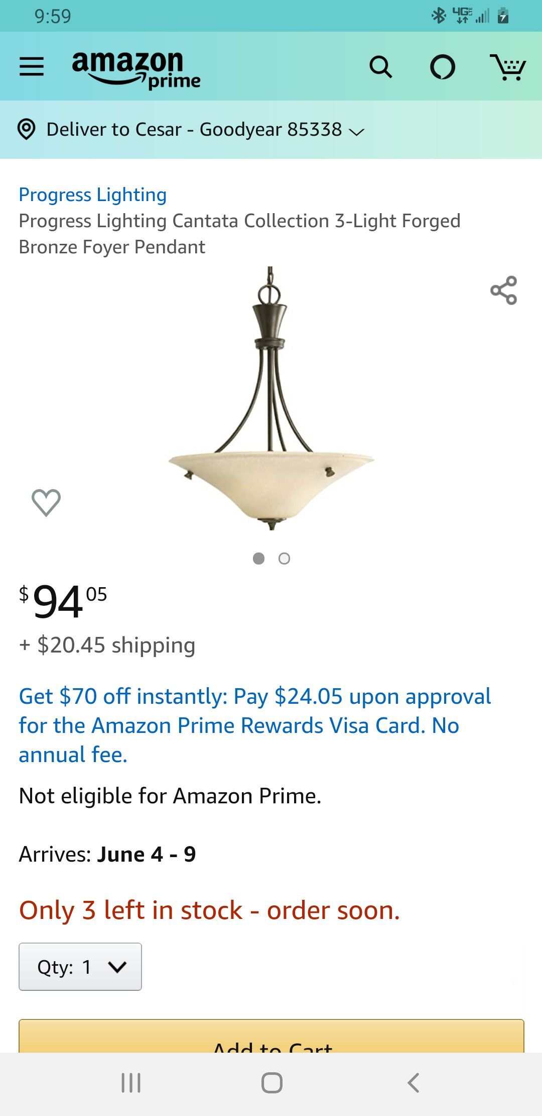Beautiful chandelier/light fixture. $40