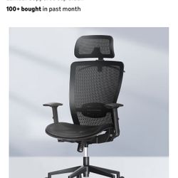 FLEXISPOT Ergonomic Office Chair 