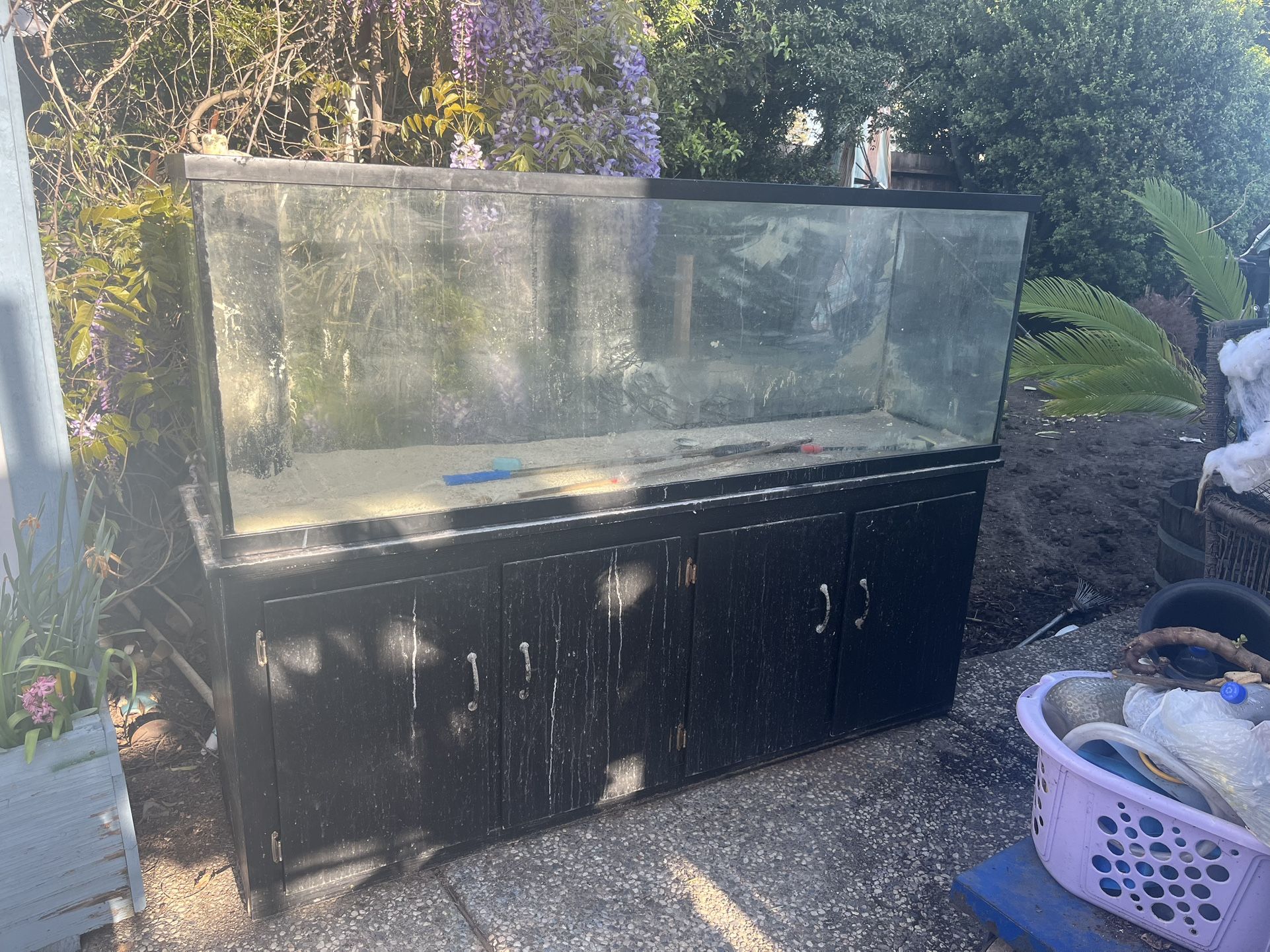 180 GALLON FISH TANK - $300 w Protein Skimmer & 1 Pump