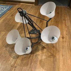 Ceiling Light Fixture