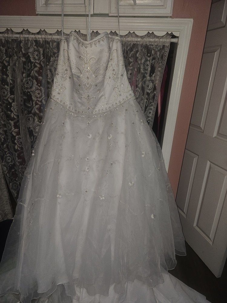 Wedding Dress And Veil