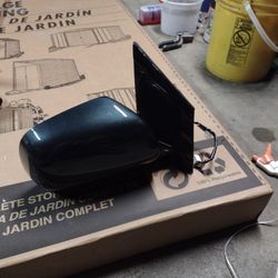 Lexus RX 350 Passenger Side Mirror