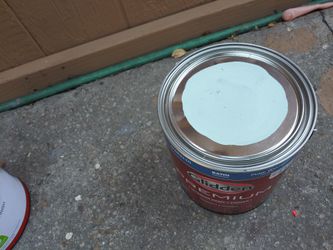 Pintura nueva