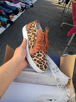 Rockport Steel Toe Shoes