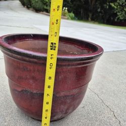 Flower/plant Pot 