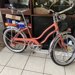 Schwinn  1973