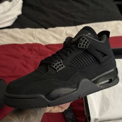 Ds Black Cat 4s