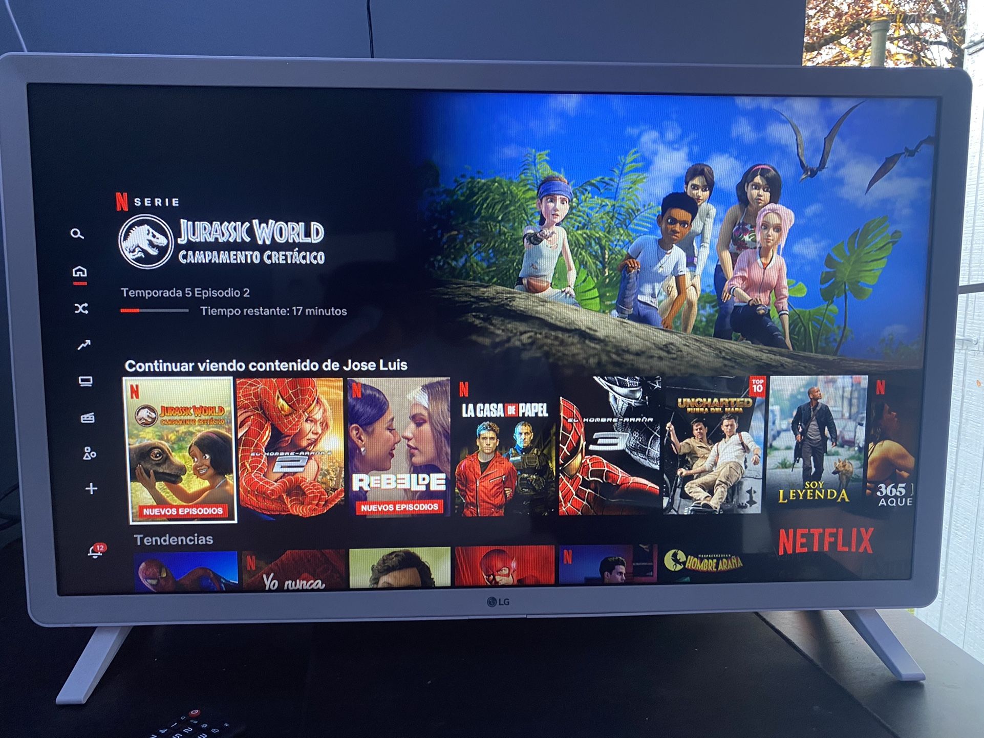 LG TV 32in