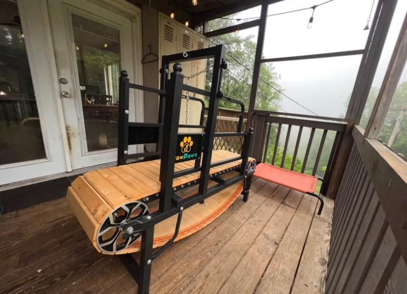 Paw-Paws-XL-Dog-Treadmill