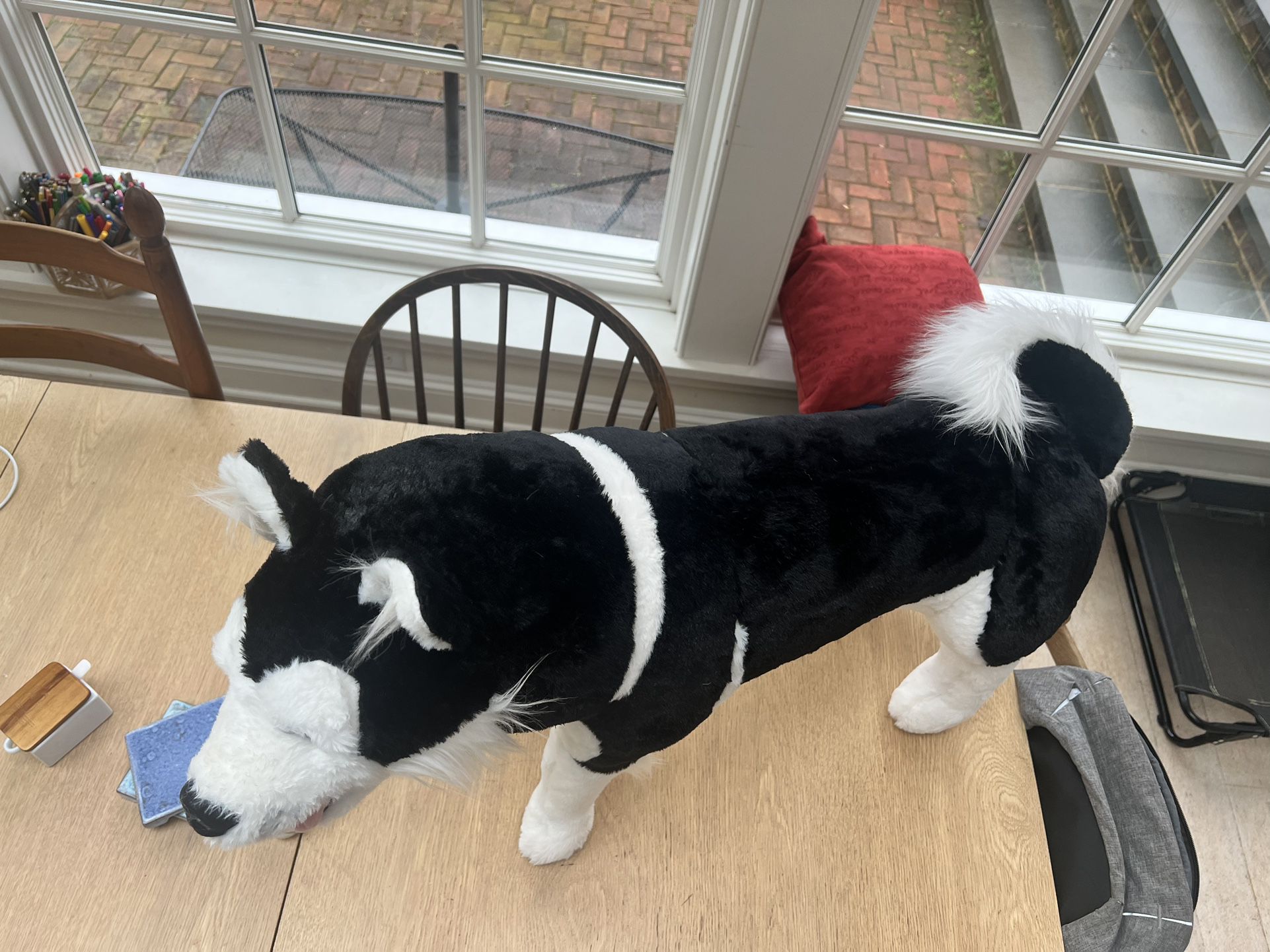 Life-sized Toy Dog