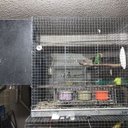 High quality birds cage