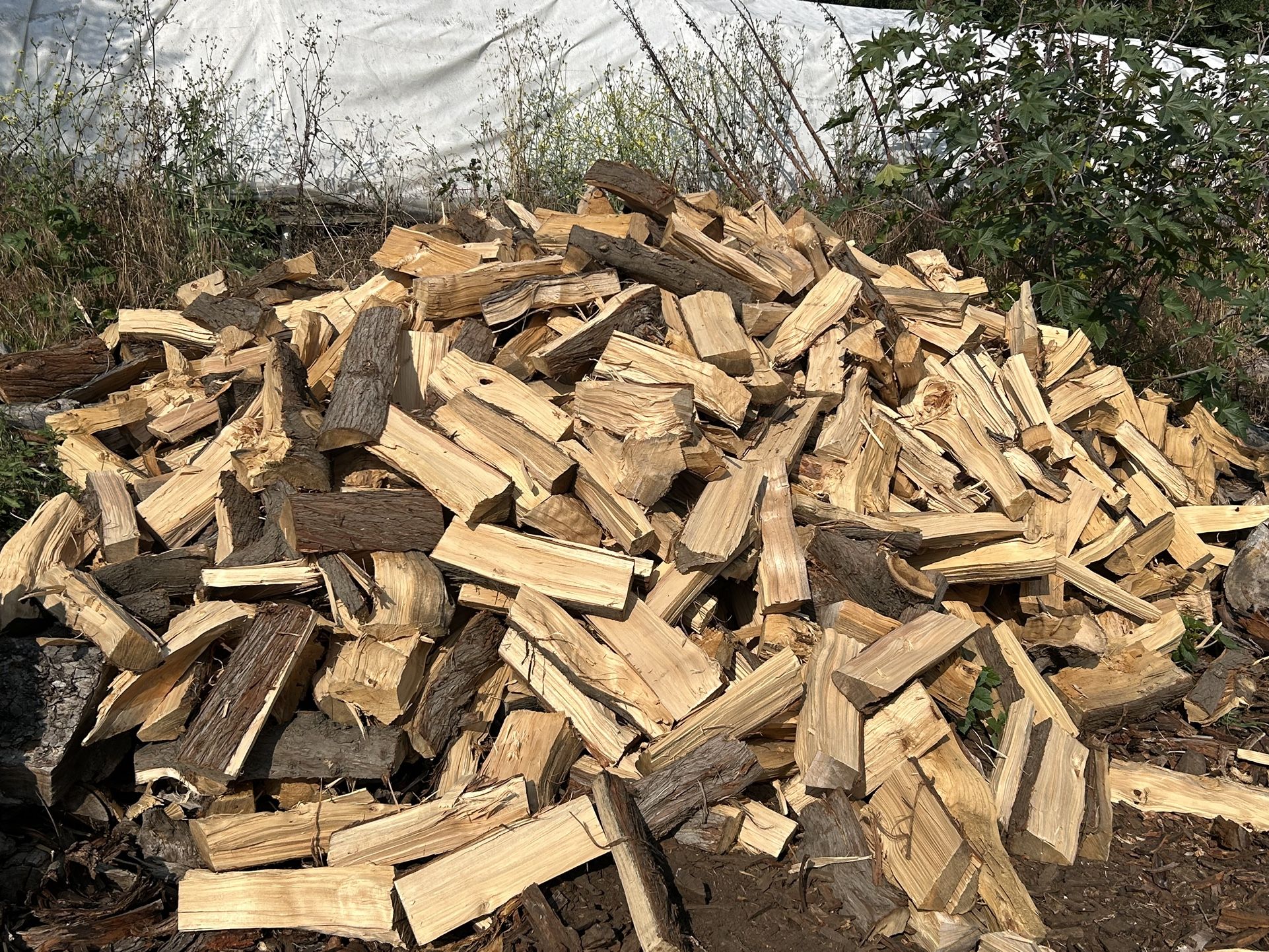 Fire pit Firewood