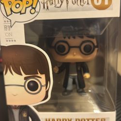 PoP Harry Potter 01