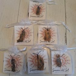 Cholla Peridot Necklace