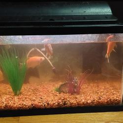 Tank