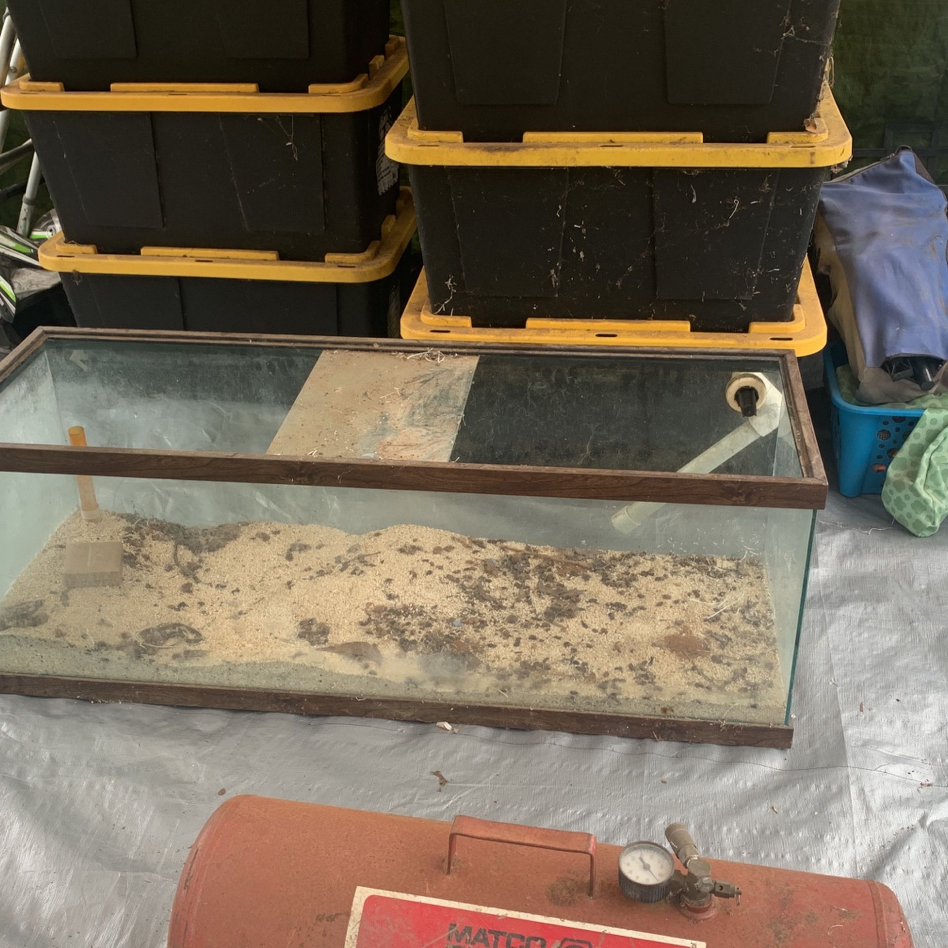 50 Gal Fish Tank