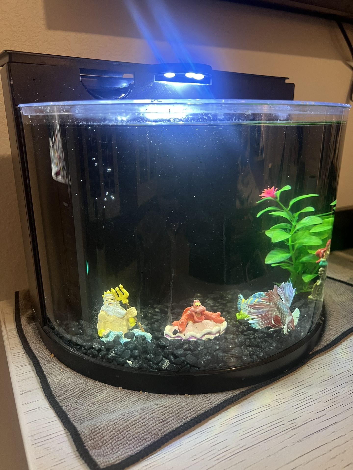 Top Fin Betta Fish Tank 