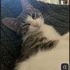 Amy 