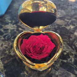 Preserved Rose Box