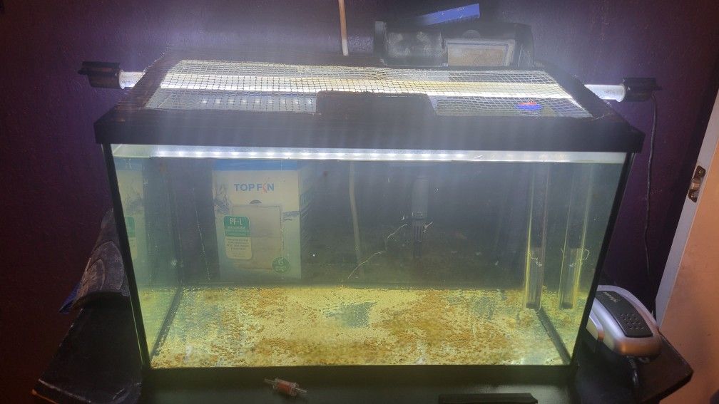 10 Gallon With Stand, Sand, Wood And Other Accessories