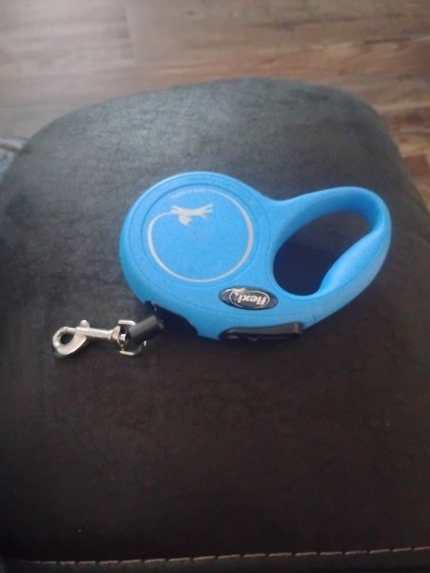 Dog Leash