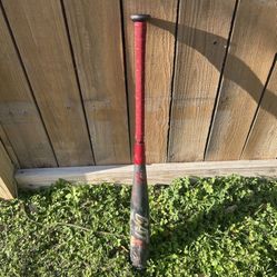 Baseball Bat Cat 9 