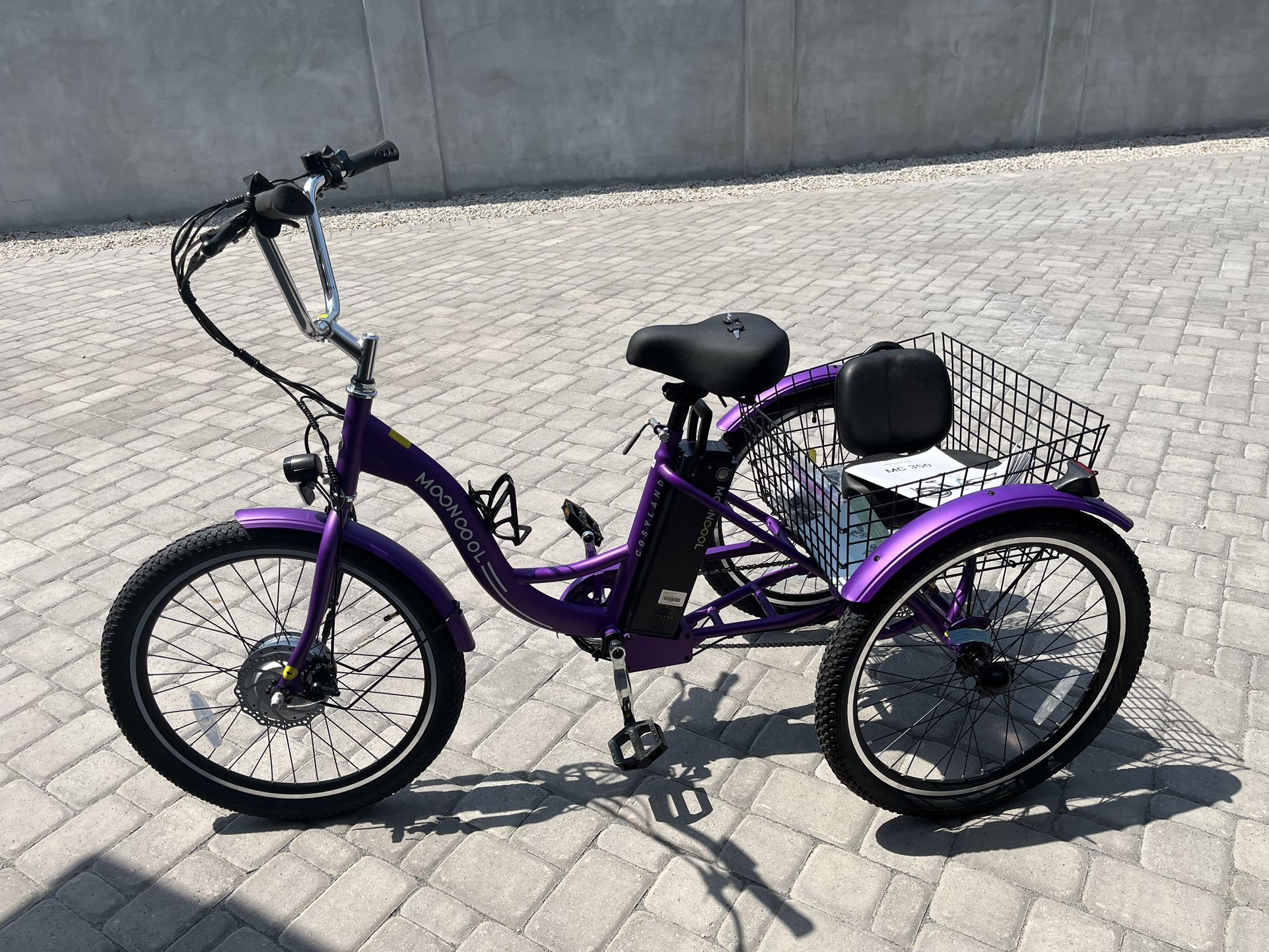 Electric Tricycle