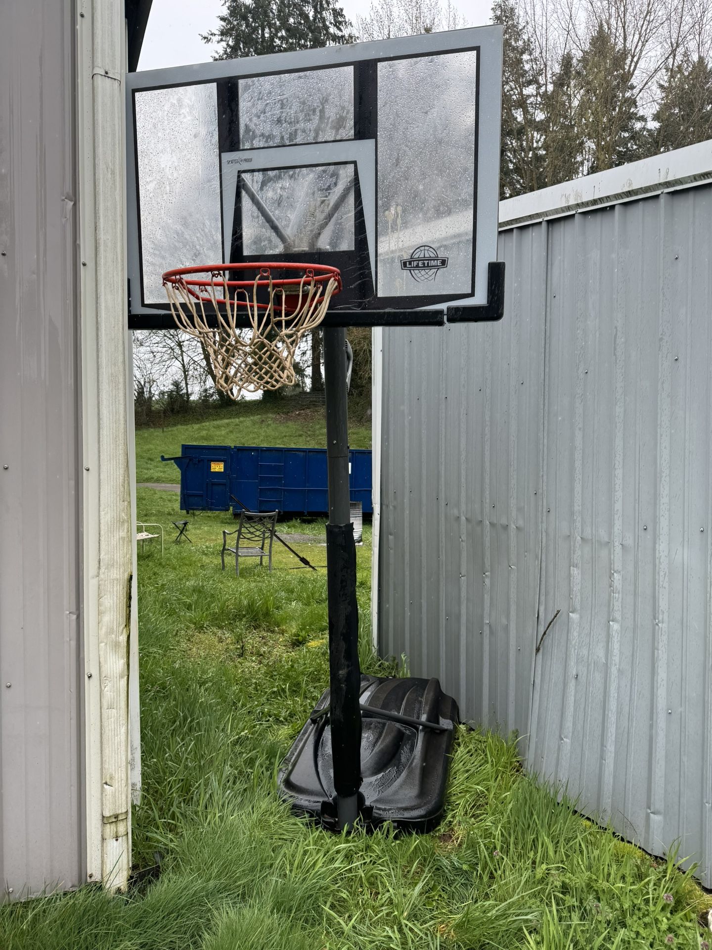 LifeTime Shatter Proof Basketball Hoop 