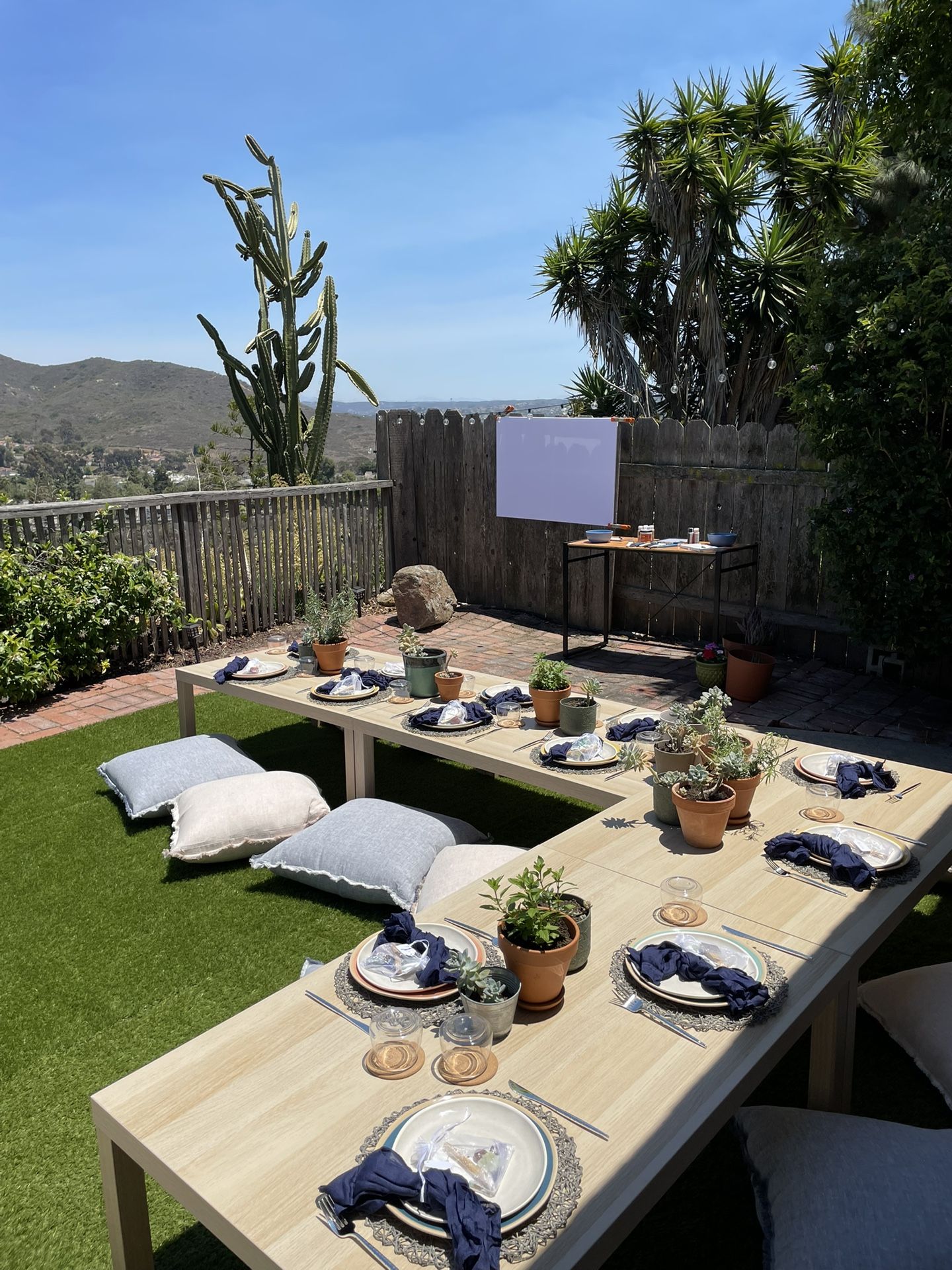 Boho Picnic Party Pack!