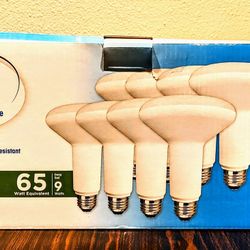 Floodlight 5000k daylight bulbs (24 Count)