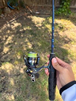 Ultralight combo Daiwa Regal LT and Bass pro panfish elite