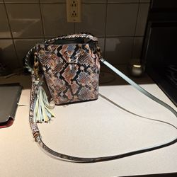 Brand New Beautiful Aldo Bag 