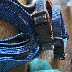 Dog accessories