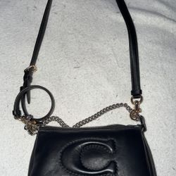 small coach purse 